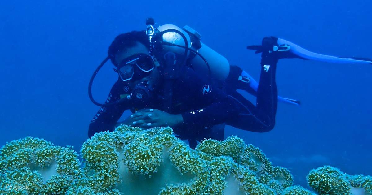 Introduction to Scuba Diving in Mactan Cebu, Philippines Klook New